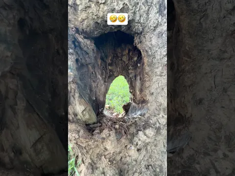 ये क्या था बे 🤣🤣
