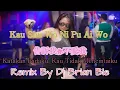 Download Lagu Kau Shu Wo Ni Pu Ai Wo (告訴我你不愛我) Remix Hot Song 2023 By Dj Brian Bie