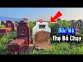 Download Lagu Thợ bốc mộ bỏ cuộc vì chôn quá sâu phải nhờ đến xe cuốc