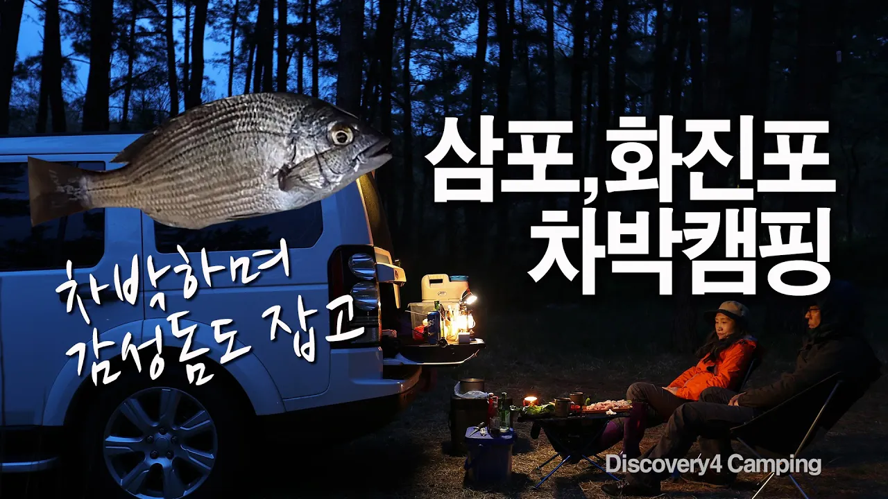 4K 동해 삼포해변 화진포해변에서 차박 캠핑 하며 감성돔 낚시 / 바다낚시 / 디스커버리4 썸네일