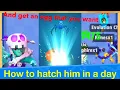 Archero How to hatch an egg in a day