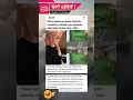 Download Lagu SYAHRINI lo #syahrini #LESTY #lestikejora #fuji