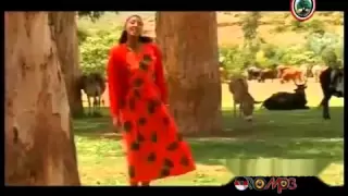 Oromo Music Hawwi Tezera Walee Yaa Walee 