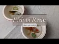 Trying the multi-layer fish stickers with resin Let s Resin