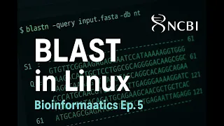 BLAST Search Using Linux Bioinformatics Data Analysis Ep 5