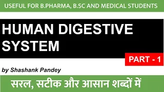 Human Digestive System Part One Med Bullets