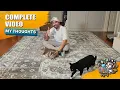GAOMON 9x12 Area Rug Review Vintage Tribal Elegance for Your Home