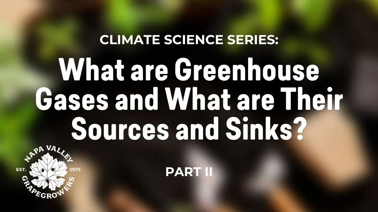 What are Greenhouse Gases and What are their Sources and Sinks - Part II