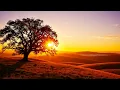 Mountains Will Bow | Epic Contemporary Praise Anthem | Powerful Uplifting Worship Song
