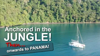 Anchored in the JUNGLE then onwards to PANAMA! | Sailing with Six | S2 E20