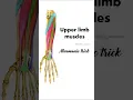Upper limb muscles Mnemonic trick Anatomy