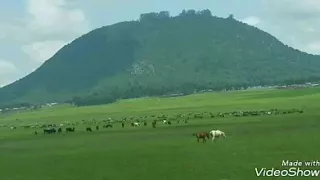 Umar Suleyman Man Of The Much 