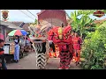 Download Lagu Pecak Welut || SINAR GALUH N.CITA || Selasa 08 April 2025 || Show Margasalam_Lemahabang_KRW
