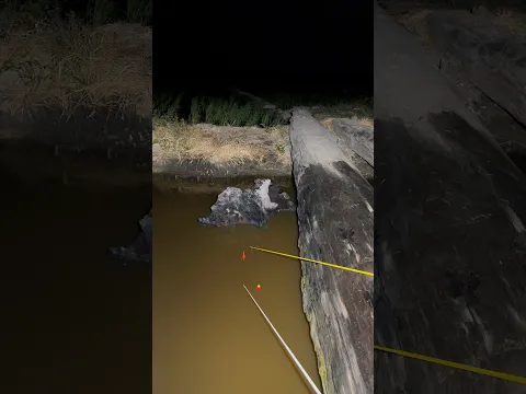 Fishing tonight has truly left me feeling hopeless #senargapuk #fishing #mancing
