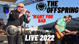 Download The Offspring - Want You Bad LIVE 2022 MP3