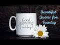 Beautiful Quotes for Tuesday Happy Tuesday Quotes Good Morning Tuesday Wishes WhatsApp Status