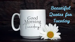 Beautiful Quotes for Tuesday Happy Tuesday Quotes Good Morning Tuesday Wishes WhatsApp Status