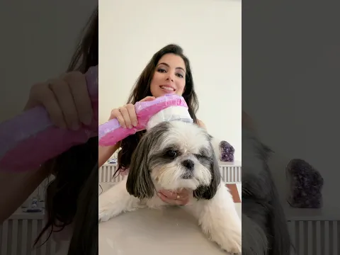 Você vai querer apertar todos esses squishies ✨