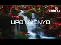 Saraphina - Upo Nyonyo (Lyrics)