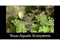 Aquatic Ecosystems Summary Overview - L6 0