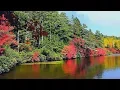 Download Lagu Красивая Атмосферная Инструментальная Музыка для души! Красивое видео/Beautiful instrumental music