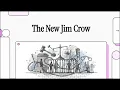 The New Jim Crow — Mini Explainer (Mass Incarceration \u0026 Structural Inequality)