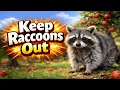 5 Powerful Ways to Keep Raccoons Out of Your Garden Fruit Trees