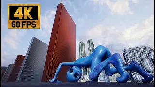                           دندنها