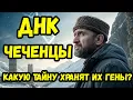 Lagu ДНК тест ШОКИРОВАЛ историков настоящие предки ЧЕЧЕНЦЕВ найдены не на Кавказе, а