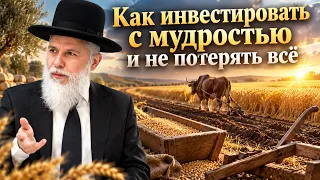 Раввин Замир Коэн - Как инвестировать с мудростью и не потерять всё