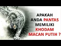 Lagu Syarat Untuk Memiliki Khodam Macan Putih