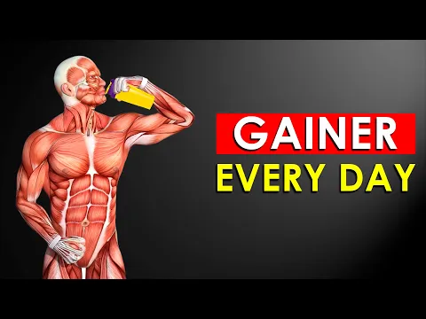 Download MP3 What Happens to Your Body If You Take Gainer Every Day