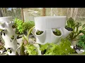 High Density Tower Propagation Module Hydroponic System Updates