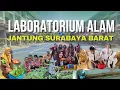 Download Lagu APRESIASI GTK TRANSFORMATIF 2025 - \