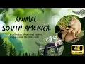 Capybara Facts World s Largest Rodent Capuchin Monkey Nutria Wildlife
