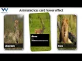 Stunning HTML CSS Card Animation Tutorial on Hover Effect Step-by-Step Tutorial