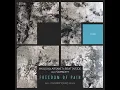 Download Lagu Beat Inside, Arsanit, AYU (UA), Samadhy - Freedom Of Pain (Original Mix)