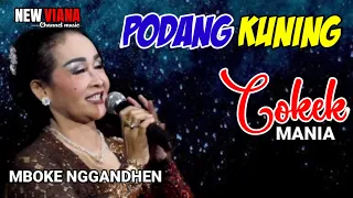 Download mbokne nggandhen#podangkuning #cokek new viana MP3