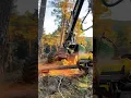 Download Lagu Alat berat dari eropa ini, bikin hutan asia gundul❗