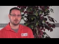 Transitions to Employment