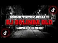 Download Lagu DJ Dalinda Old TikTok (Slowed \u0026 Reverb) 🎧