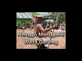 Download Lagu Lagu Nenggo Manggarai Weta Gereng