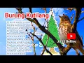 Download Lagu Lirik Lagu BURUNG KUTILANG || Ciptaan Ibu Sud || Lagu Tematik SDMI