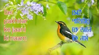  sei pakhitar ke jaani ki naam