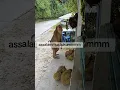 Download Lagu Tak boleh nak salahkan dia, dia nak minta tapi tengok takda orang 😂jadi dia rembat je.