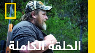 النهوض من الرماد الحياة في البرد الشديد الجزيرة المتمردة ناشونال جيوغرافيك أبوظبي 