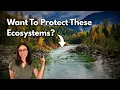 What Environmental Consulting Could Look Like For You Chin GEO GIRL