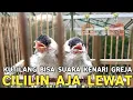 Lagu DULU DIBUANG - BUANG || HARGA MURAH MEWAH TAU GINI BELI DARI DULU CILILIN AJA LEWAT !!!