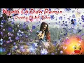 Download Lagu Người Cô Đơn Remix - Dương Minh Tuấn [ Đậu Đậu channel ]