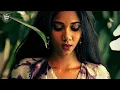 Download Lagu Wanduta - Me Quedaria (Cafe De Anatolia)